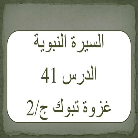 درس في السّيرة النبويّة (41) | الشيخ وائل عبلا