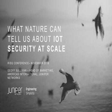 What Nature Can Tell Us About IoT Security at Scale