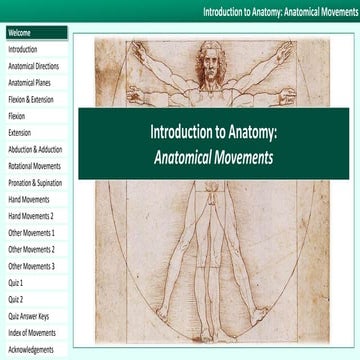 Comprehensive Guide to Anatomical Movements: Pronation, Supination ...