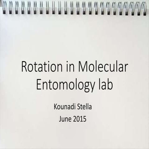 1st Rotation Presentation