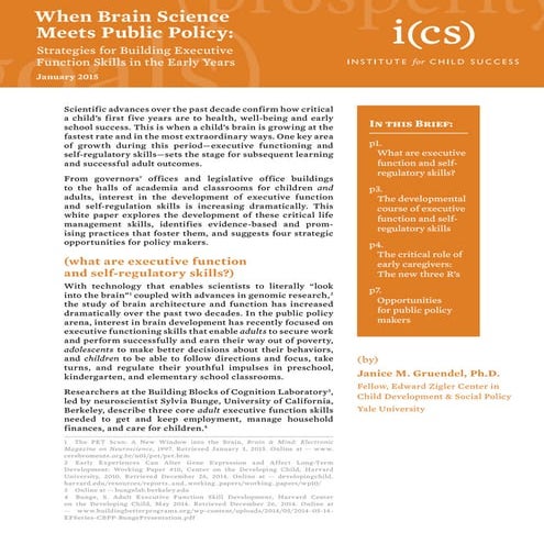 Executive Functioning Brief