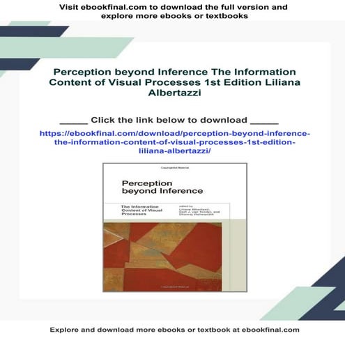 Perception beyond Inference The Information Content of Visual Processes 1st E...