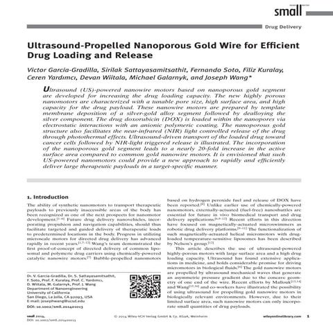 Ultrasound-Propelled Nanoporous Gold Wire for Efficient Drug Loading and Release