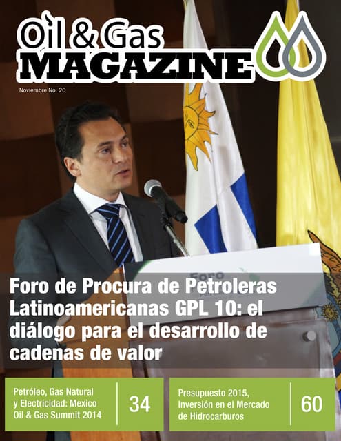 Oil & Gas Magazine Noviembre 2014