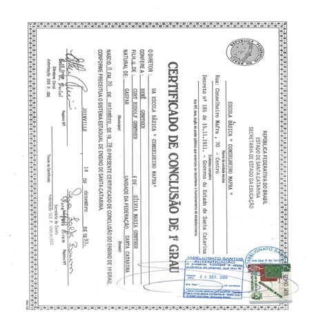 Primary School degree | PDF