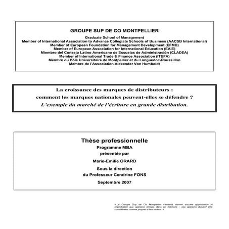 PROFESSIONAL THESIS MBA Overview & Intro Only