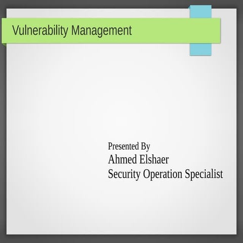 Vulnerability Management V0.1