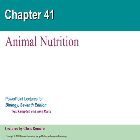 41_ANIMAL_DIGESTION_ppt.ppt