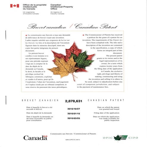 My First Awarded Patent