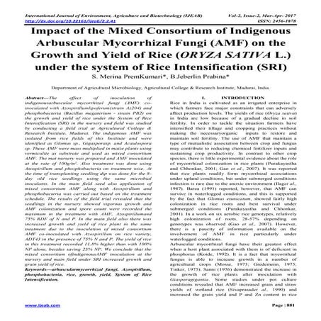 impact of the mixed consortium of indigenous arbuscular mycorrhizal fungi