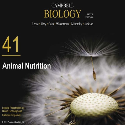 41 lecture presentation