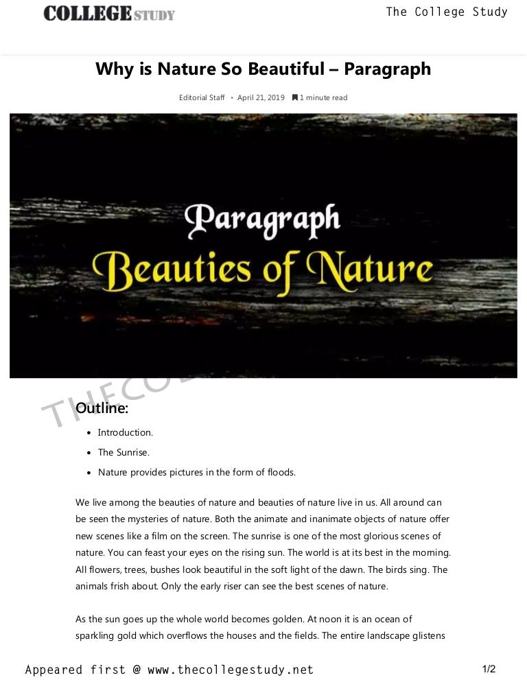 41 why is nature so beautiful paragraph the college study