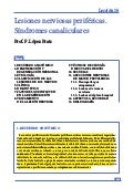 420 2014-03-20-13 lesiones sistema nervioso periferico 1 420 2014 03 20 13lesionessistemanerviosoperiferico 211106184729 thumbnail 2