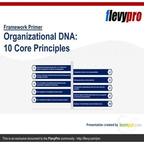 Organizational DNA: 10 Core Principles