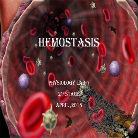 Blood coagulation mechanism and hemostasis