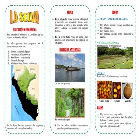 421610047-triptico-selva-peruana.pdf