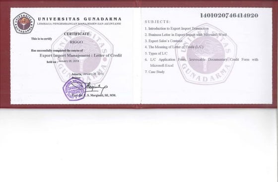 IMG | PDF