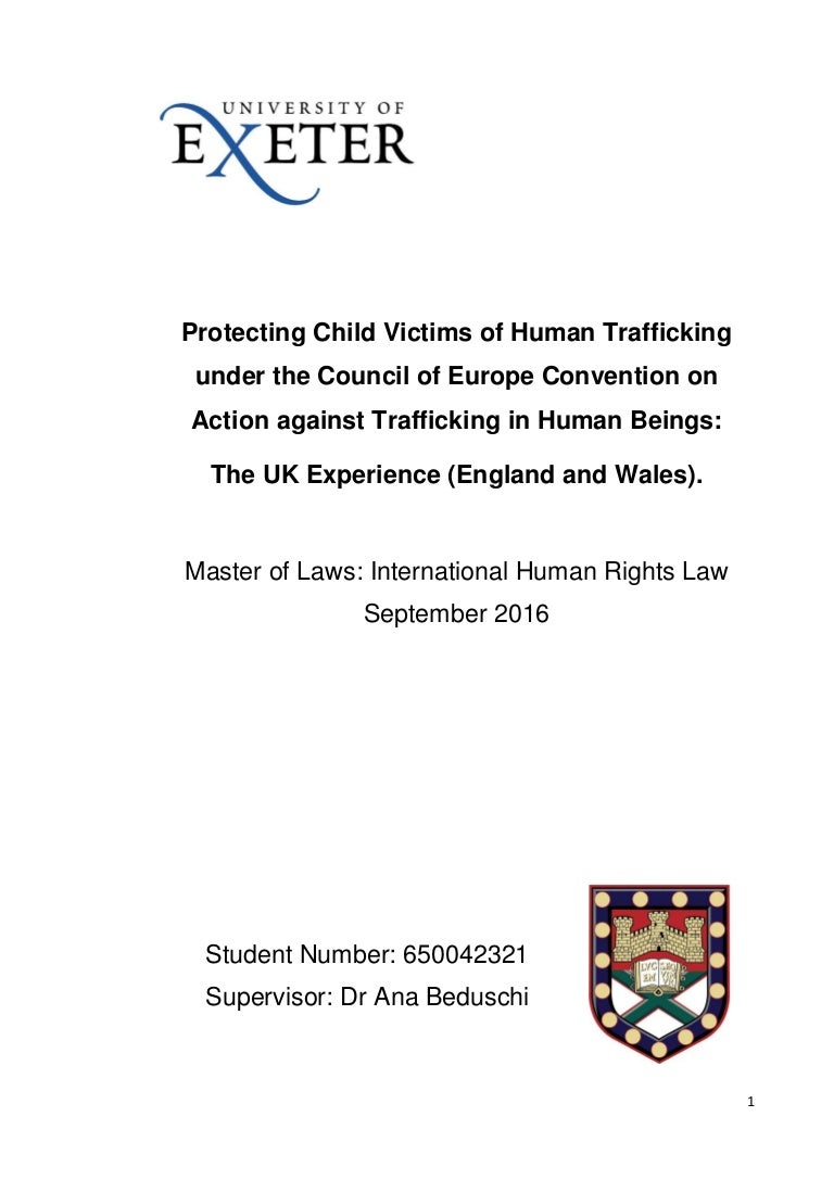 Final year dissertation examples image