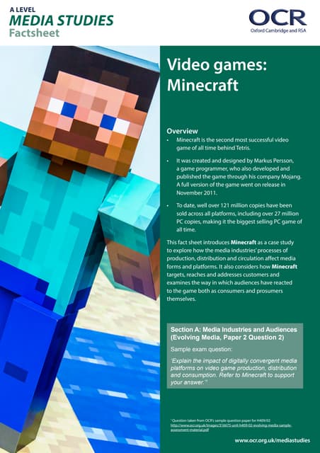 Video Games Minecraft