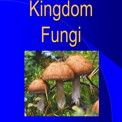 Fungi