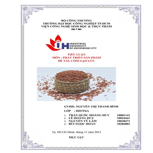 Tiểu Luận Môn Phát Triển Sản Phẩm Đề Tài Cốm Gạo Lứt 