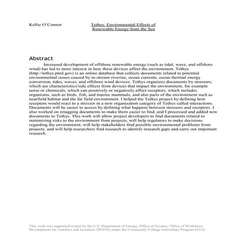Final Suli Report | PDF