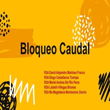 425761165 bloqueo-caudal