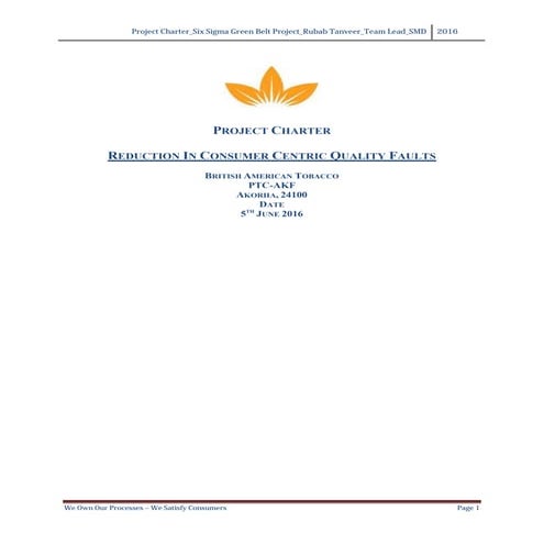 ASQ CSSBB Affidavit Example | PDF