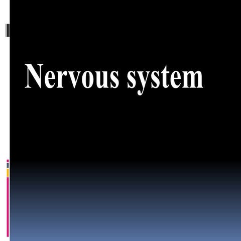 nervous system