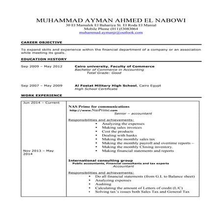 MUHAMMAD AYAMAN'CV