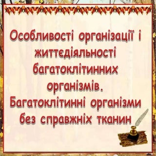 43 особливості організації і життєд...