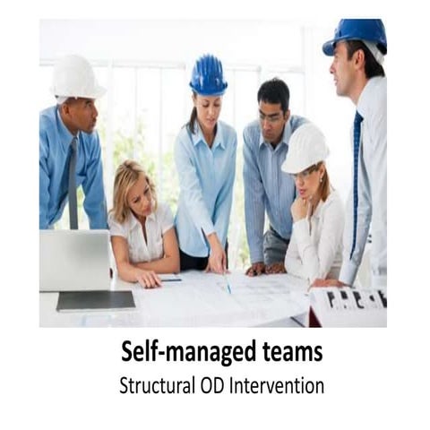 Self managed teams   structural intervention -  Organizational Change and Dev...