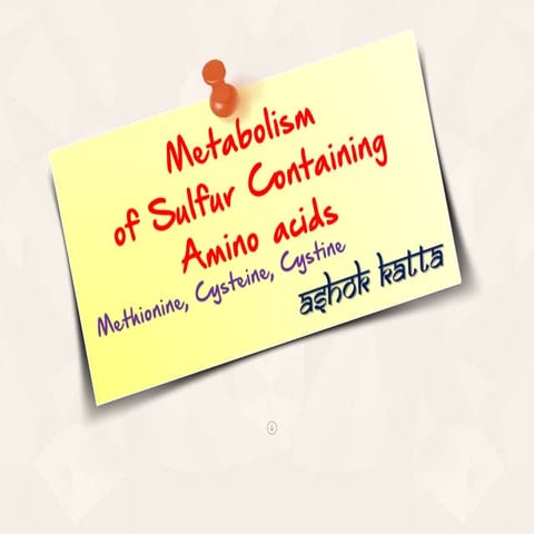 Metabolism of Sulfur Containing  Amino Acids (Methionine, Cysteine, Cystine)
