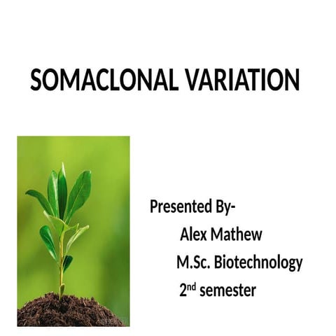 variacion somatoclonal, esto que significa y la imporntacia en el area del fi...