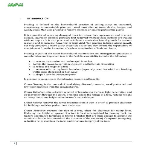 METHODOLOGY OF PRUNING