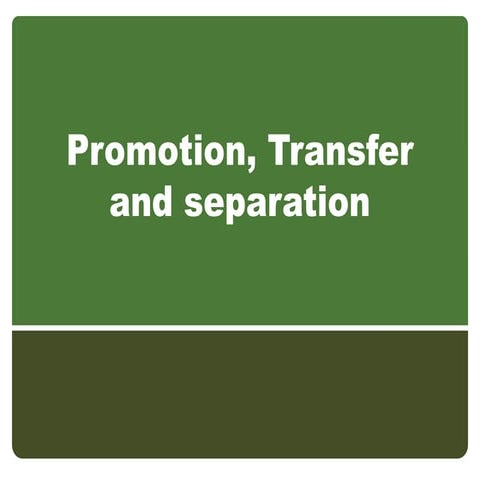 435229289-35113705-Promotion-Transfer-and-Separation-ppt.ppt
