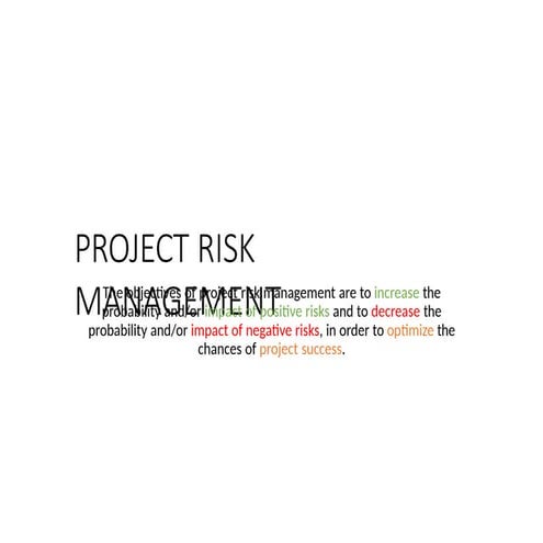 4554447637498498-Project-Risk-Management.pptx