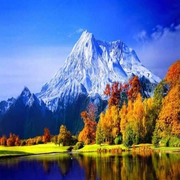 Business Plan Presentation