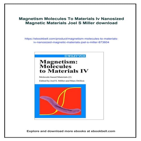 Magnetism Molecules To Materials Iv Nanosized Magnetic Materials Joel S Miller