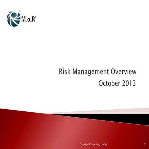 Risk Management Overview | PDF