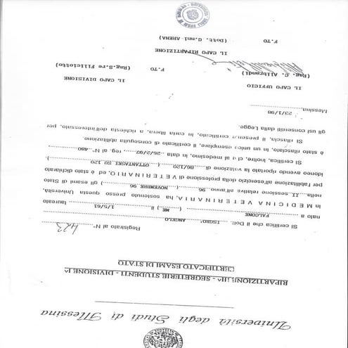 CV angelo isgro 1 | DOCX