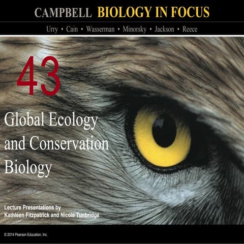 Biology in Focus - Chapter 43 