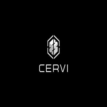 Cervi Robotics Imagine Cup pitch