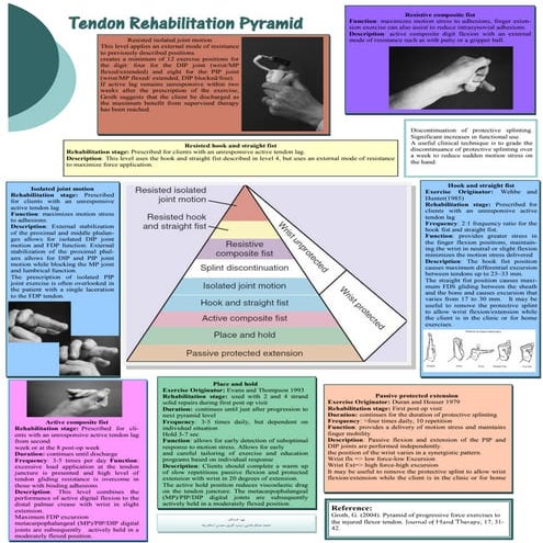 Tendon Rehabilitation Pyramid