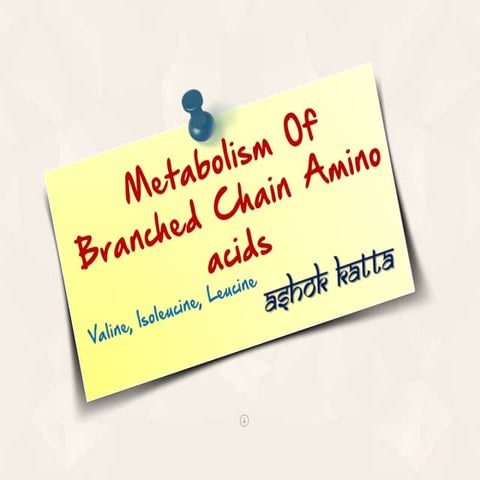 Metabolism of Brached Chain Amino Acid (Valine, Isoleucine, Leucine)