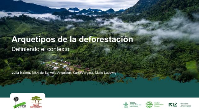 thumbnail of  Archetypes (Models) of deforestation and typology of policies to reduce deforestation
