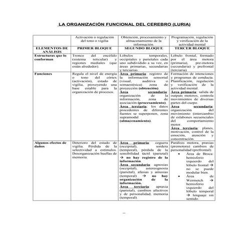440781 la-organizacion-funcional-del-cerebro-luria