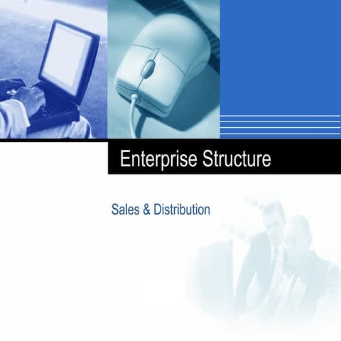 Enterprise-structure-Concepts and Fundamentals.ppt