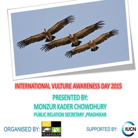 Vulture awareness day presentation