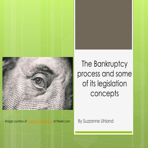 bankruptcy_basics.pptx